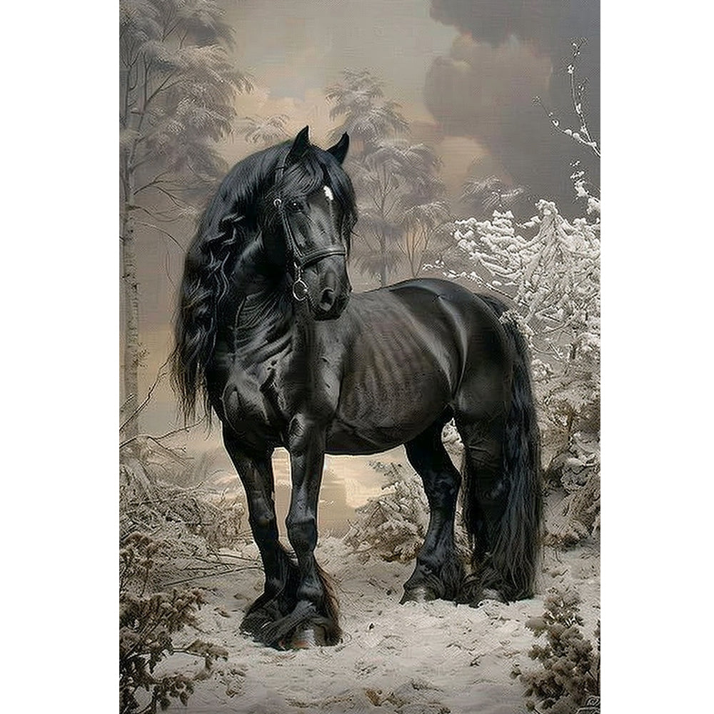black horse in garden